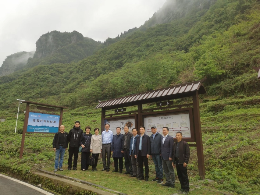 上藥藥材赴重慶市南川區開展中藥材溯源工作
